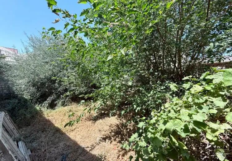 0 m² Obyekt / Ofis , Sumqayıt