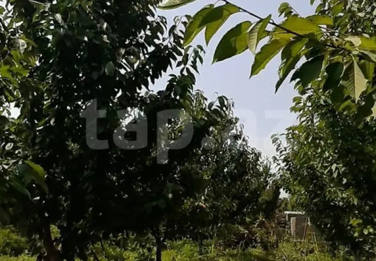 2 otaqlı mənzil , Xaçmaz