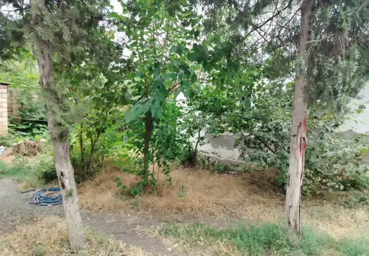 1729 m² Obyekt / Ofis Satılır, Xaçmaz