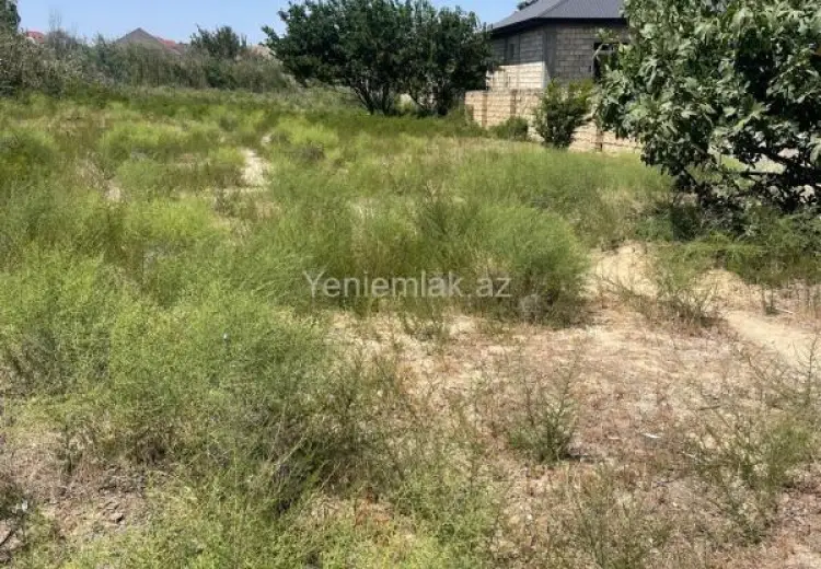 20 sot Torpaq Satılır, Novxanı, Abşeron