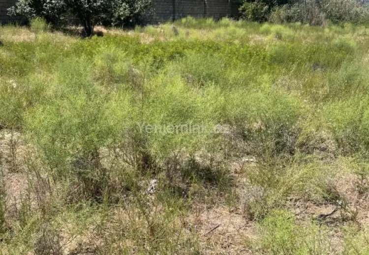 20 sot Torpaq Satılır, Novxanı, Abşeron