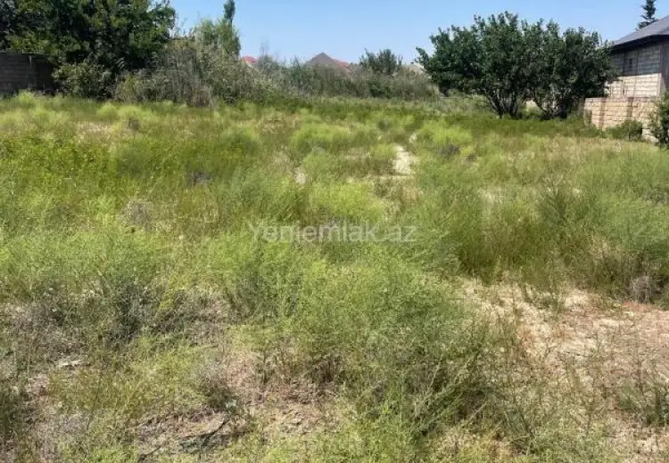 20 sot Torpaq Satılır, Novxanı, Abşeron