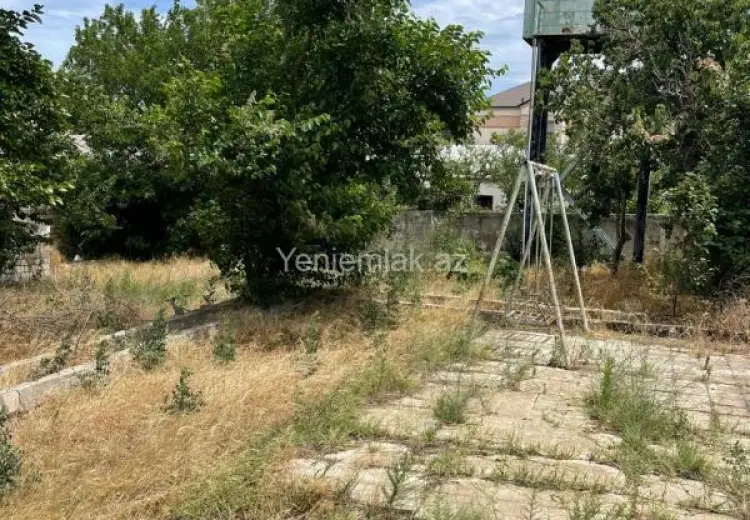 12 sot Torpaq Satılır, Novxanı, Abşeron