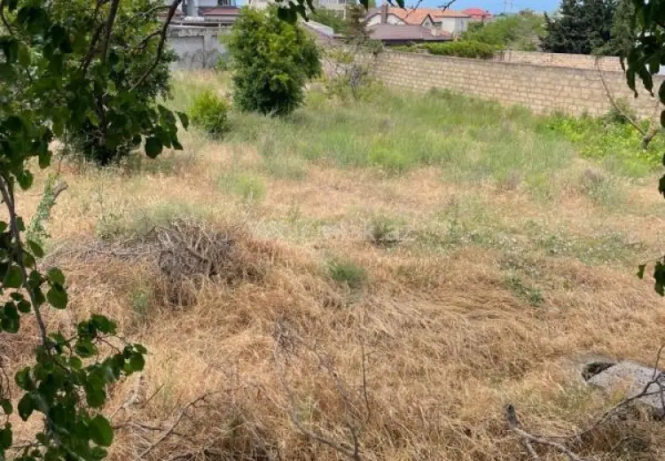 12 sot Torpaq Satılır, Novxanı, Abşeron