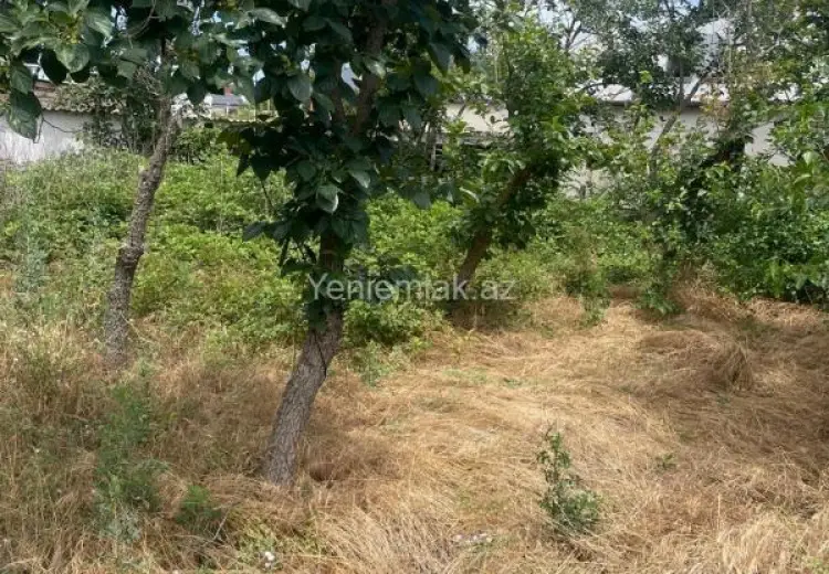 12 sot Torpaq Satılır, Novxanı, Abşeron