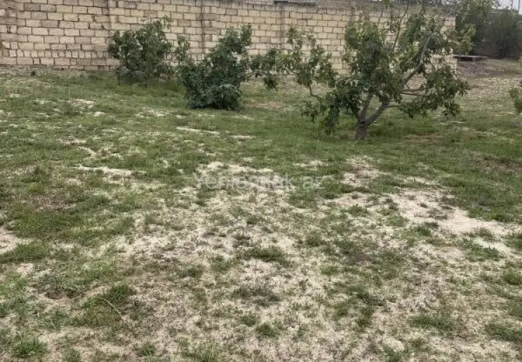 9 sot Torpaq Satılır, Qurd dərəsi, Sumqayıt