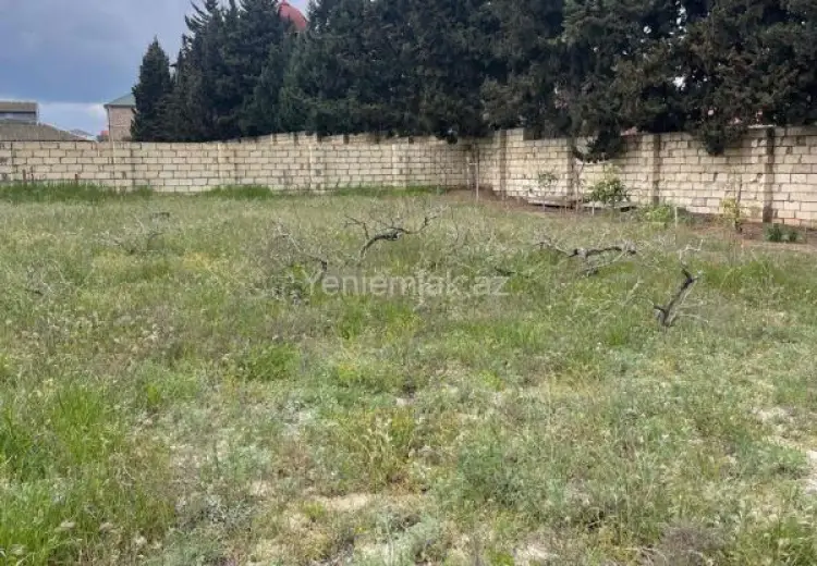 10 sot Torpaq Satılır, Novxanı, Abşeron