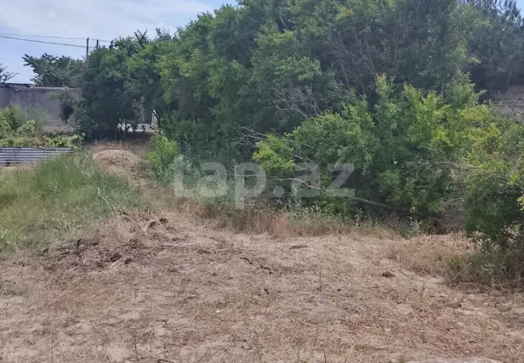 0 m² Obyekt / Ofis , Pirşağı qəs., Sabunçu, Bakı
