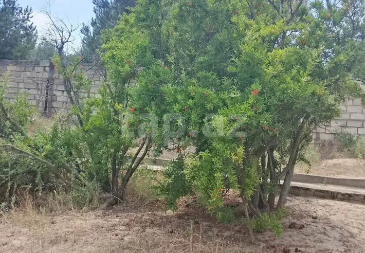 0 m² Obyekt / Ofis , Pirşağı qəs., Sabunçu, Bakı