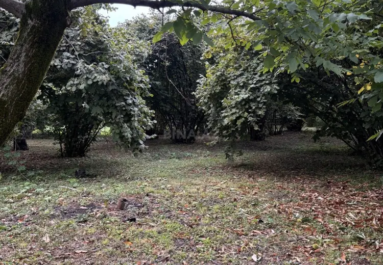 30 sot Torpaq Satılır, Qəbələ