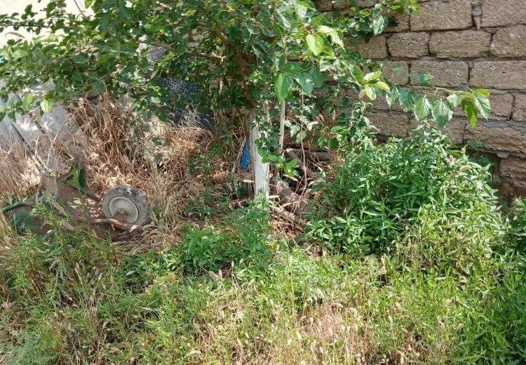 4 sot Torpaq Satılır, Binə qəs., Xəzər, Bakı