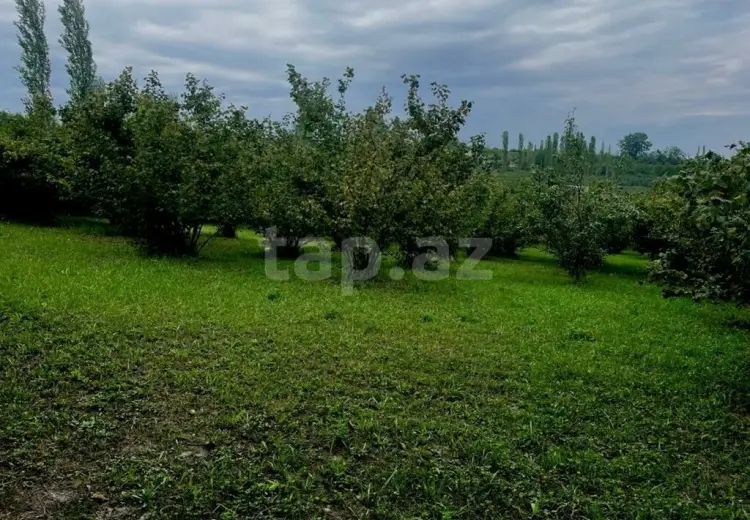 0 m² Obyekt / Ofis , Qusar