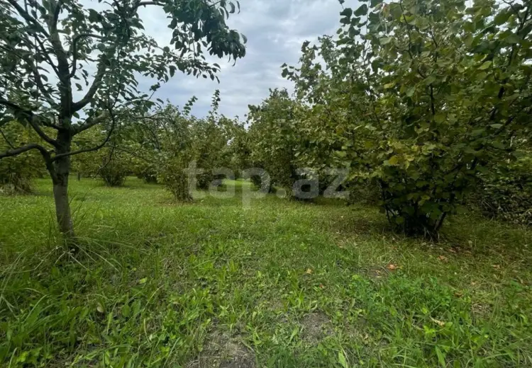 0 m² Obyekt / Ofis , Qusar