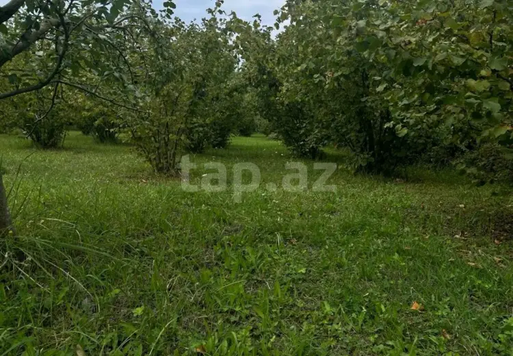 0 m² Obyekt / Ofis , Qusar