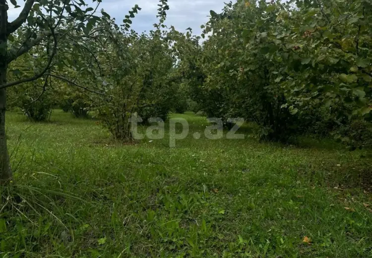 0 m² Obyekt / Ofis , Qusar