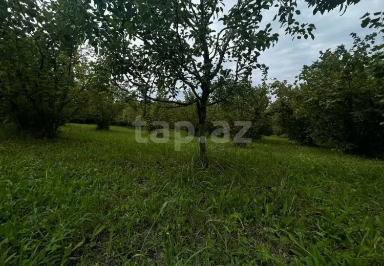 0 m² Obyekt / Ofis , Qusar