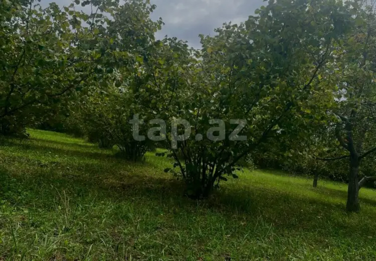 0 m² Obyekt / Ofis , Qusar