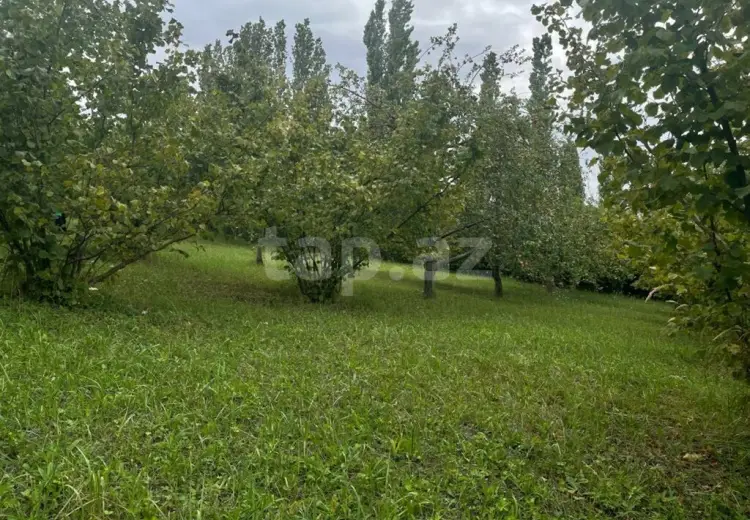 0 m² Obyekt / Ofis , Qusar