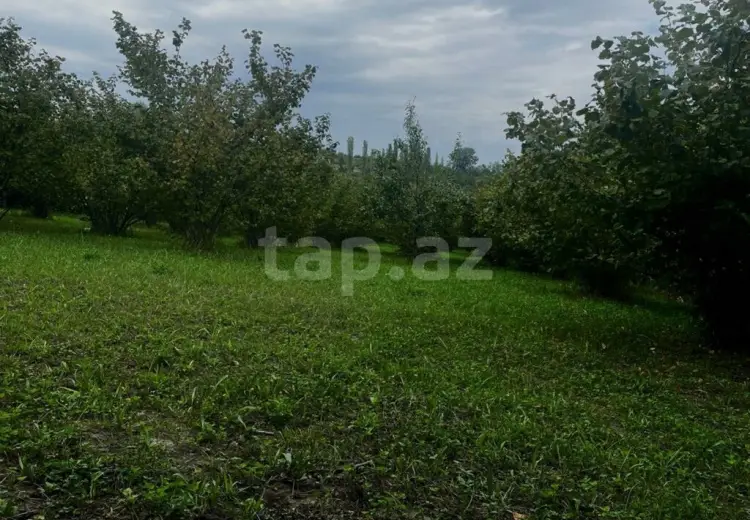 0 m² Obyekt / Ofis , Qusar