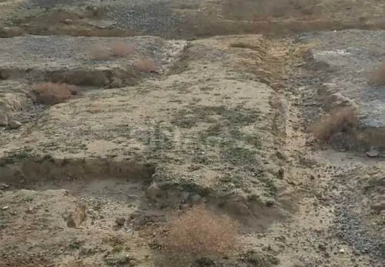 2 sot Torpaq Satılır, Saray, Abşeron