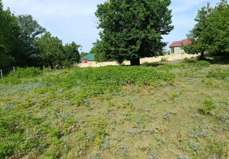 15 sot Torpaq Satılır, Qəbələ