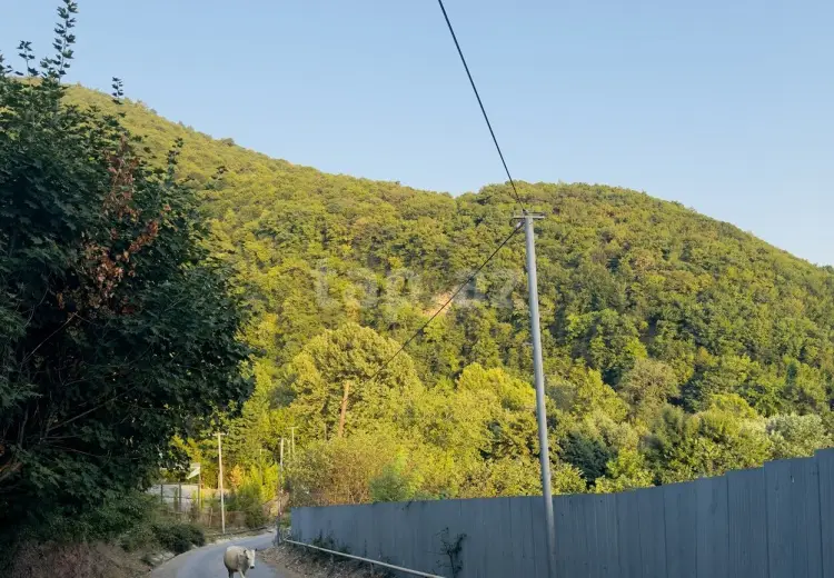 0 m² Obyekt / Ofis , İsmayıllı