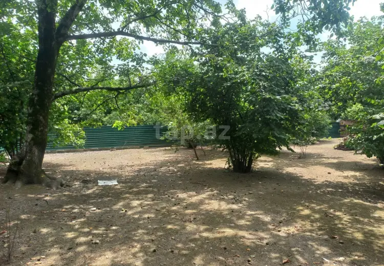 0 m² Obyekt / Ofis , Qəbələ