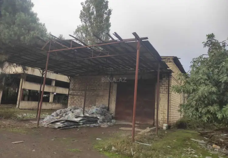 137.9 sot Torpaq Satılır, Masallı