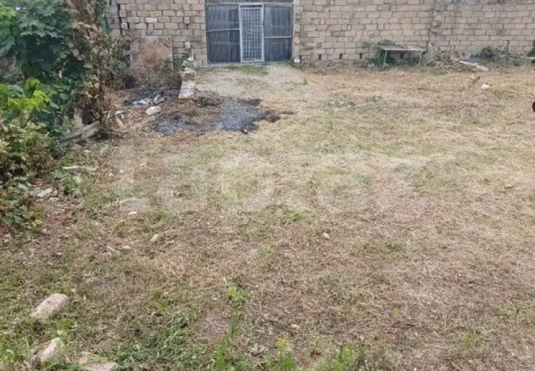 0 m² Obyekt / Ofis , Şamaxı