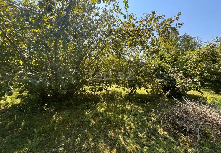 0 m² Obyekt / Ofis , Qəbələ