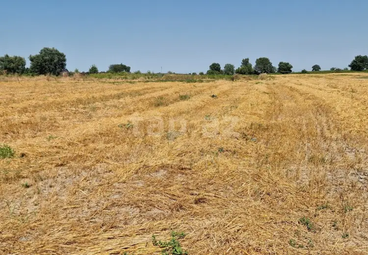 0 m² Obyekt / Ofis , Qusar