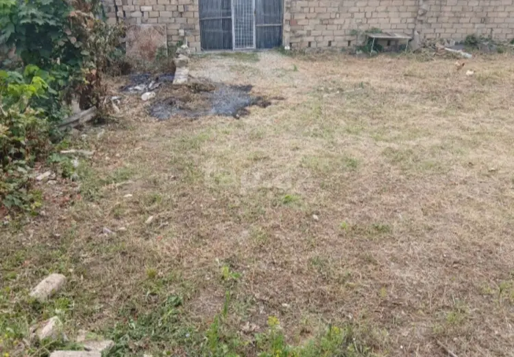 0 m² Obyekt / Ofis , Şamaxı