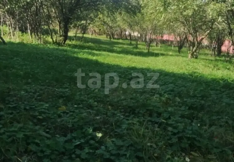 0 m² Obyekt / Ofis , Bakı