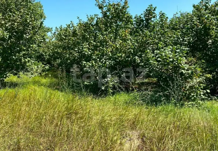 0 m² Obyekt / Ofis , Xaçmaz