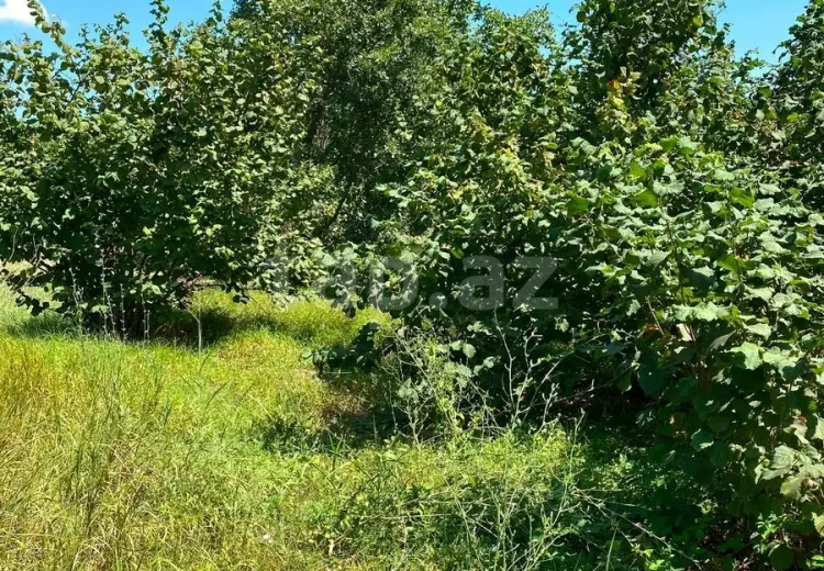 0 m² Obyekt / Ofis , Xaçmaz