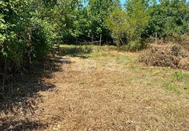 0 m² Obyekt / Ofis , Xaçmaz