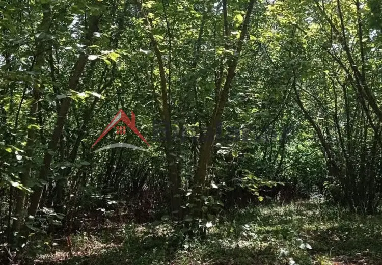 22 sot Torpaq Satılır, Xaçmaz