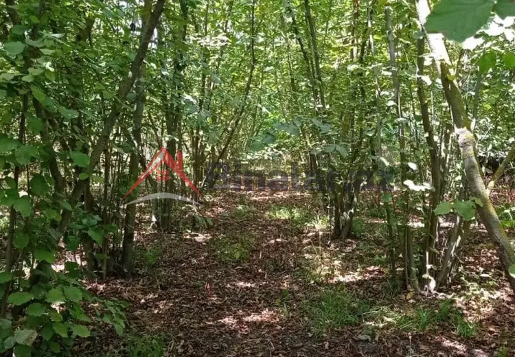 22 sot Torpaq Satılır, Xaçmaz