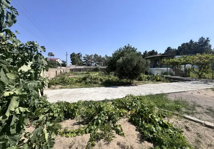 12 sot Torpaq Satılır, Buzovna, Xəzər, Bakı