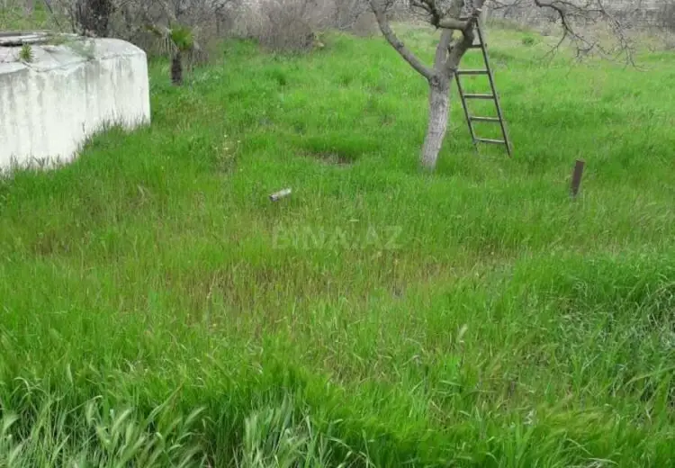 23 sot Torpaq Satılır, Məştağa qəs., Sabunçu, Bakı