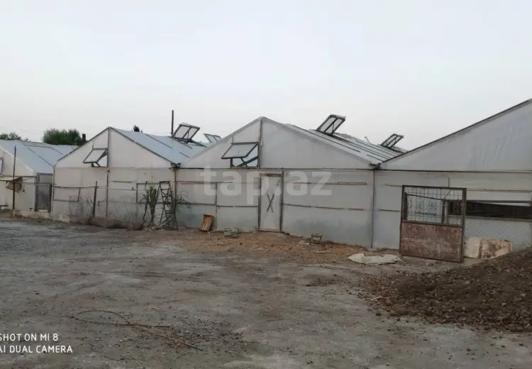 0 m² Obyekt / Ofis , Salyan