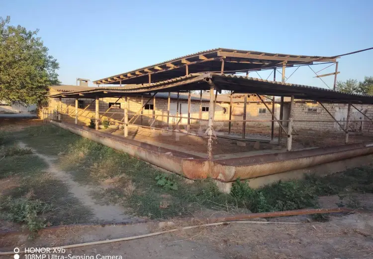 0 m² Obyekt / Ofis , Salyan