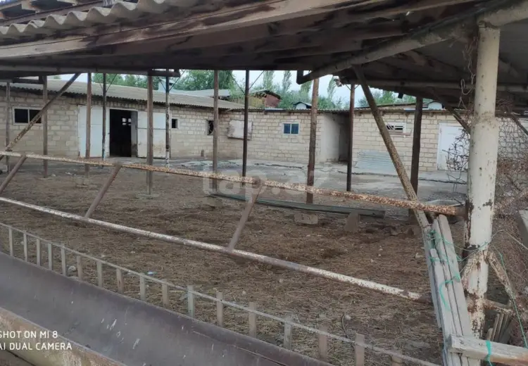 0 m² Obyekt / Ofis , Salyan