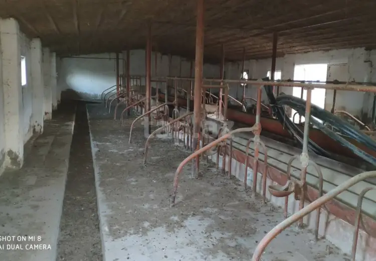 0 m² Obyekt / Ofis , Salyan