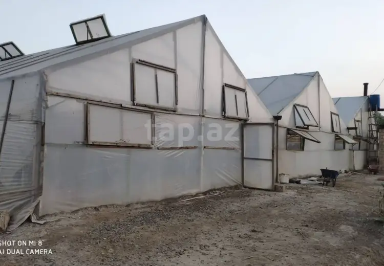 0 m² Obyekt / Ofis , Salyan