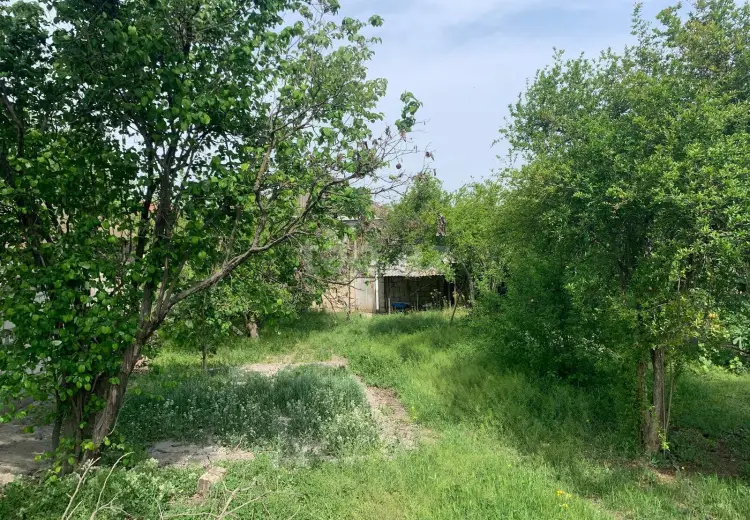 5 otaqlı mənzil , Ağdaş