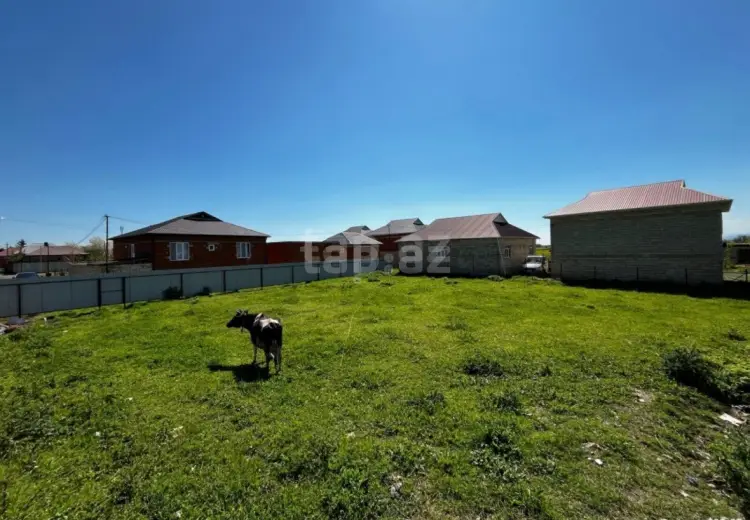 0 m² Obyekt / Ofis , Masallı