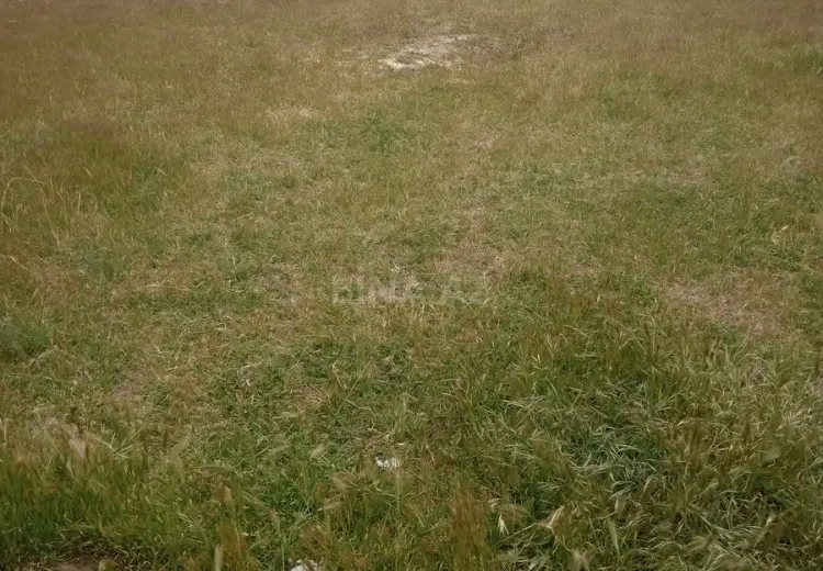 6 sot Torpaq Satılır, Pirşağı qəs., Sabunçu, Bakı