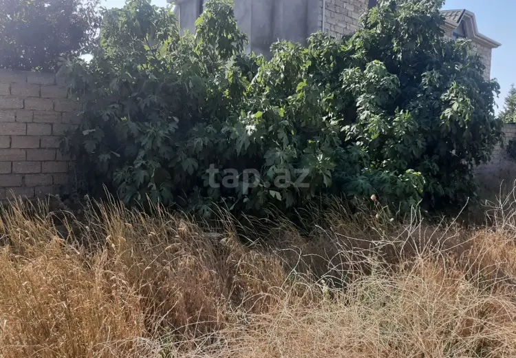 0 m² Obyekt / Ofis , Məştağa qəs., Sabunçu, Bakı