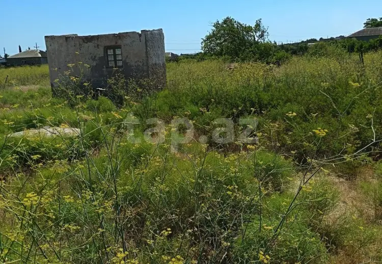 0 m² Obyekt / Ofis , Dübəndi, Xəzər, Bakı